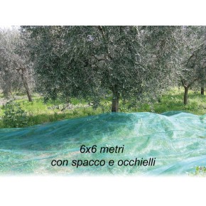 Rete per Raccolta Olive 6x6 metri con Spacco Occhielli Metallo Telo Antispina