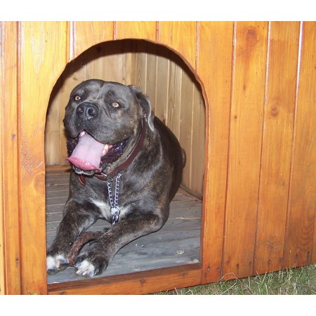 Cuccia per Cane Taglia Grande in Legno Tetto con Pavimento Interno uso Esterno