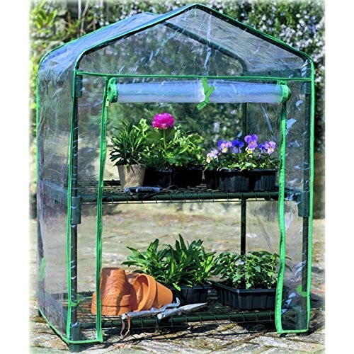 Mini Serra per Piante 2 Ripiani Copertura in PVC da Giardino Balcone Terrazzo