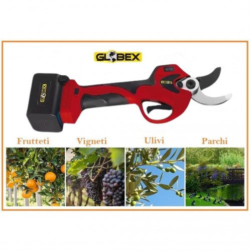 Forbice Elettrica con 2 Batterie per il Giardinaggio