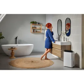 Deumidificatore 12L/24 h Ambienti 75 m³ Portatile Serbatoio 2L Timer 2
