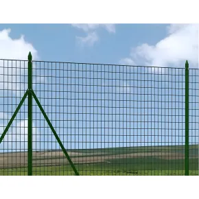 10 Paletti da 100 cm per Recinzione in Ferro Plastificato 2