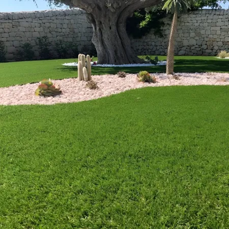 Prato Sintetico Drenante 25 mm 2x25 m Erba Verde Realistica da Esterno