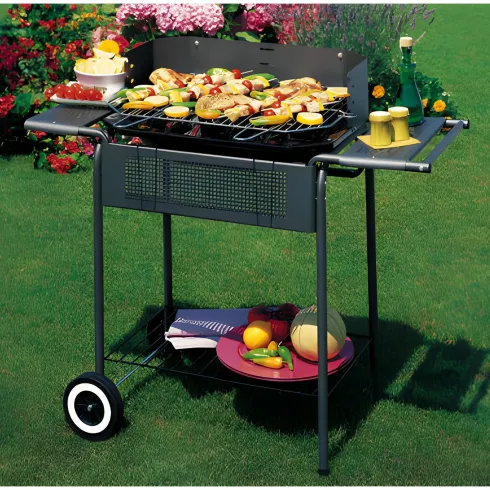 Giardino Barbecue Carbonella Legna Carbone Carrello Griglia Grigliata Terrazzo