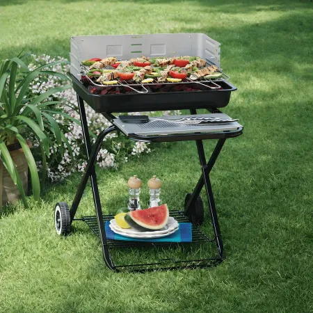 Barbecue Carbonella Acciaio Pieghevole Grigliate Carne Giardino Esterno Terrazzo
