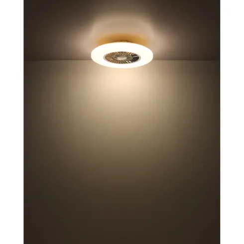 Ventilatore da Soffitto con Argento Bianco 60 cm LED RGB Telecomando