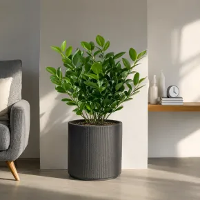 Vaso in Resina Grigio 36x35 Resistente Raggi UV Materiale Riciclabile 2