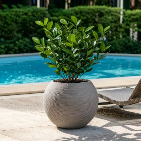 Vaso in Resina Beige 40x33 Rotazionale da Interno Esterno Atossico