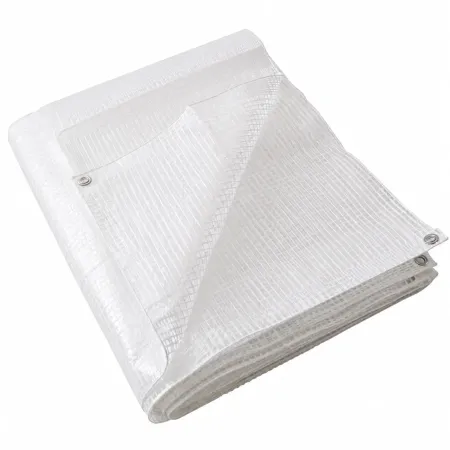 Telo Occhiellato Impermeabile 3x6 m PE Bianco Copertura Lavabile