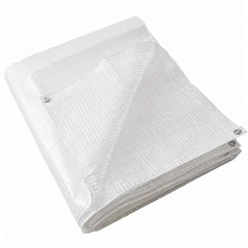 Telo Occhiellato Copertura Impermeabile 5x8 m Lavabile PE Bianco