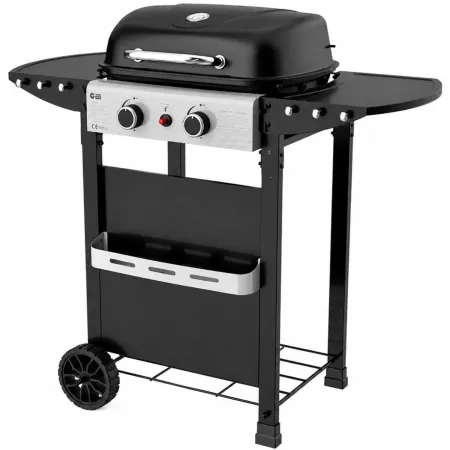 Barbecue a Gas 2 Fuochi 5 kW Griglia in Ghisa Smaltata Scaldavivande