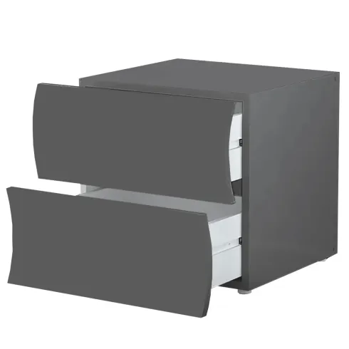 Comodino 2 Cassetti Antracite Opaco in Legno Camera da Letto
