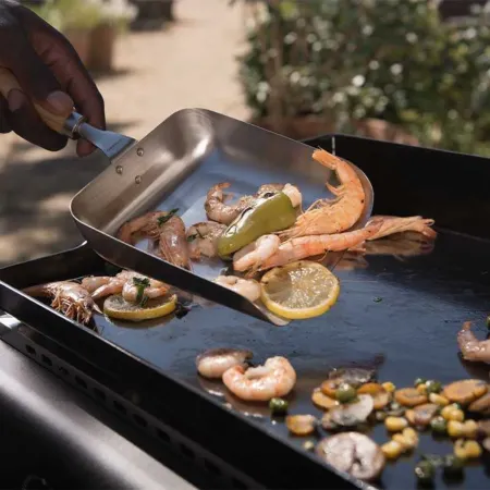 Barbecue a Gas 2 Fuochi Campingaz Piastra Smaltata Bruciatori Nero