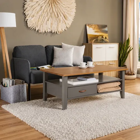 Tavolino Basso in Legno da Caffe 115x60 Grigio Tavolo Divano | BricoShop24